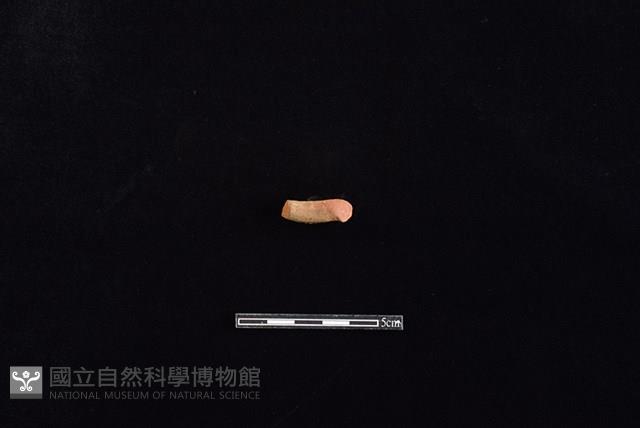 陶把藏品圖，第2張