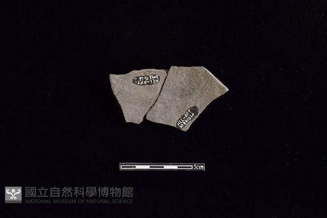 陶片藏品圖，第2張