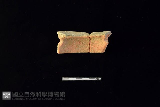 陶片藏品圖，第2張