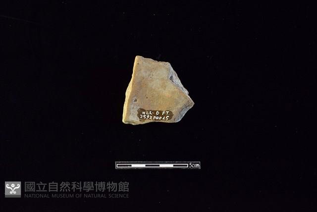 Accession Number:HLL-D PT2592 Collection Image, Figure 2, Total 2 Figures