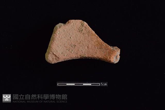 陶罐藏品圖，第2張