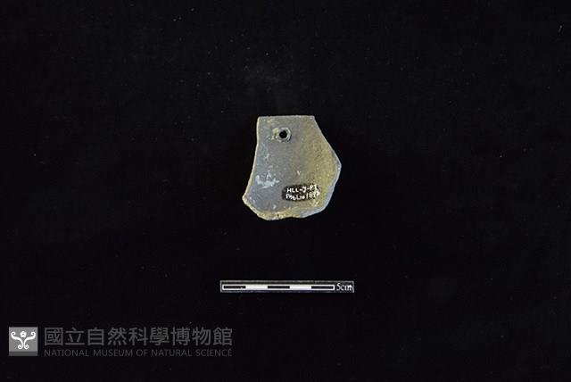 陶缽藏品圖，第2張