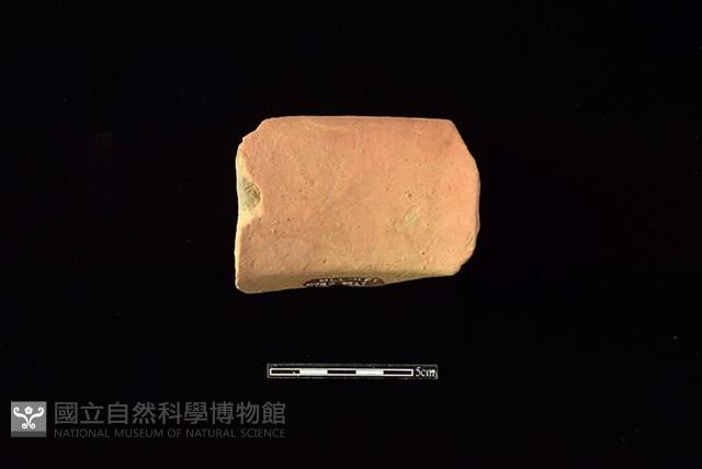 陶罐藏品圖，第2張