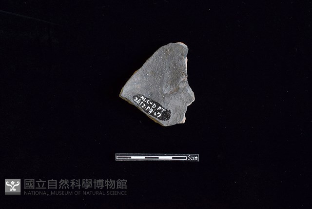 陶片藏品圖，第2張