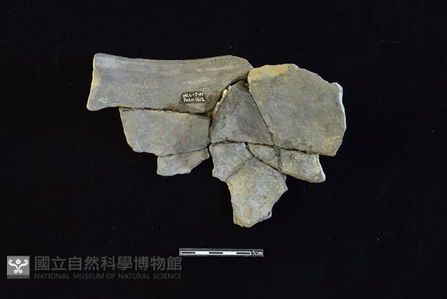 陶罐藏品圖，第2張