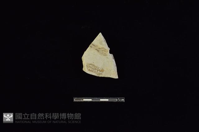 陶片藏品圖，第2張