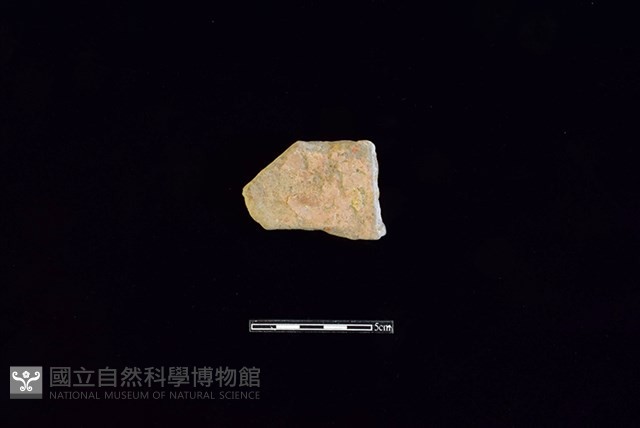 陶片藏品圖，第2張