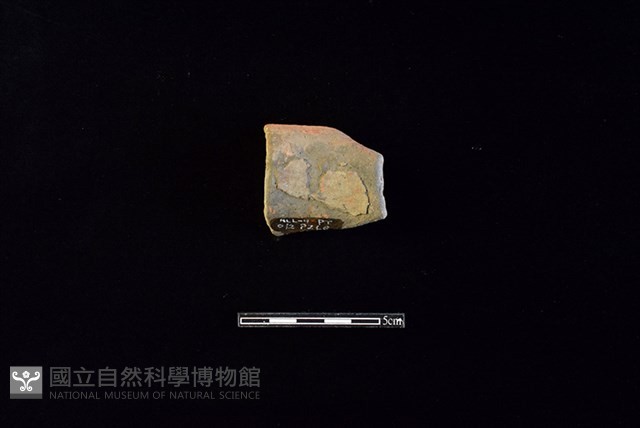 陶片藏品圖，第2張