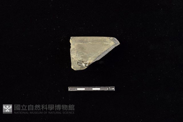 陶罐藏品圖，第2張
