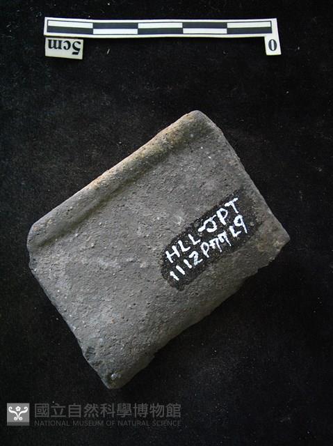 陶片藏品圖，第2張