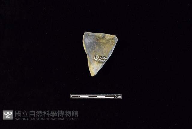 陶片藏品圖，第2張