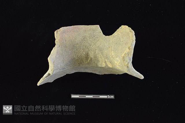 陶罐藏品圖，第2張