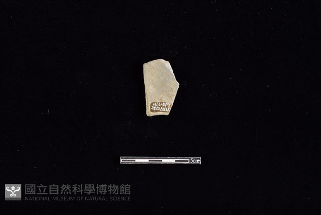 陶片藏品圖，第2張