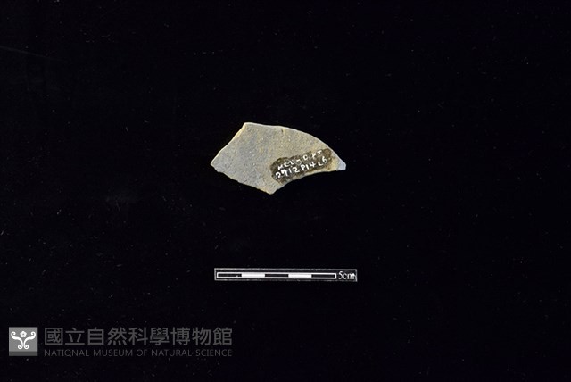 陶片藏品圖，第2張