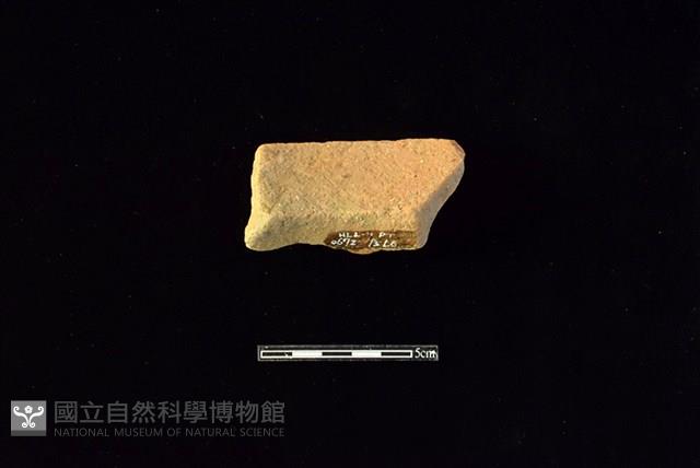 陶罐藏品圖，第2張