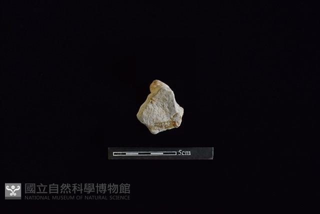 陶蓋鈕藏品圖，第2張