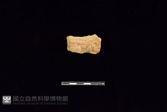 陶罐藏品圖，第2張