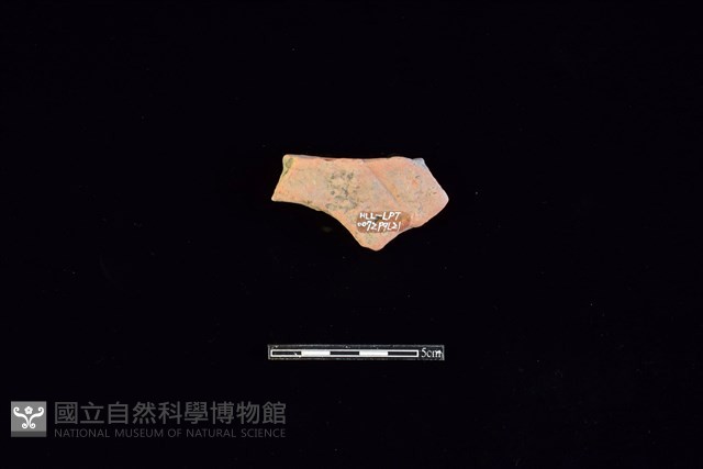 連杯形器藏品圖，第2張