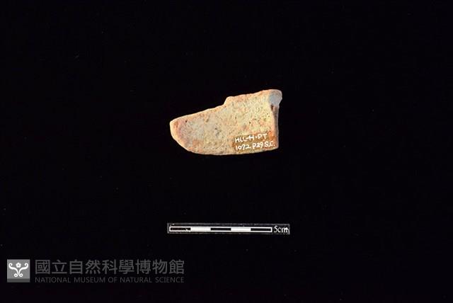 陶片藏品圖，第2張