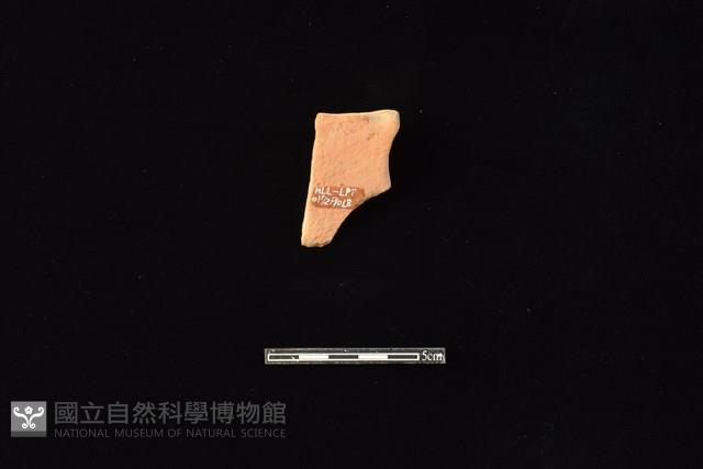 連杯形器藏品圖，第2張