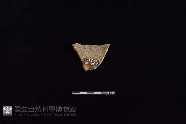 陶片藏品圖，第2張