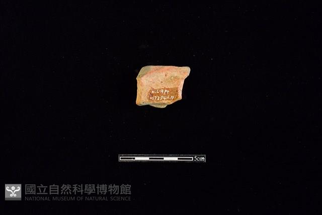 陶片藏品圖，第2張