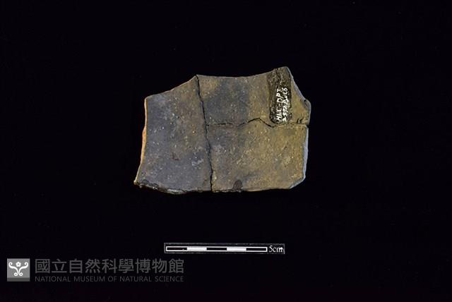 陶片藏品圖，第2張