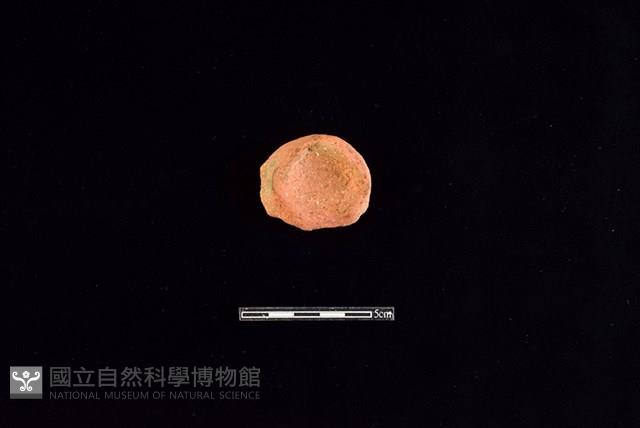 陶片藏品圖，第2張