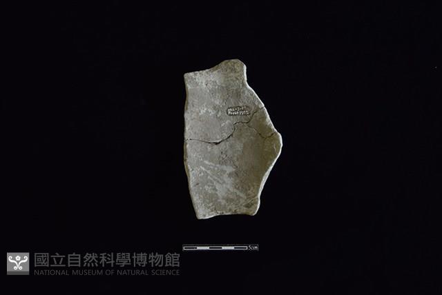 陶罐藏品圖，第2張