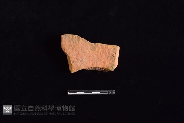 連杯形器藏品圖，第2張