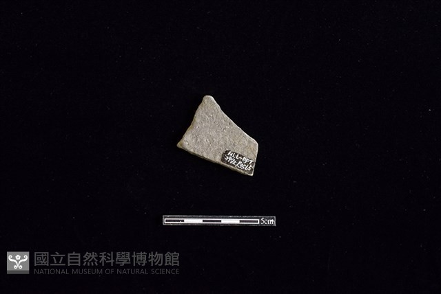 陶片藏品圖，第2張