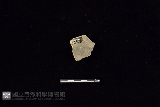 陶片藏品圖，第2張