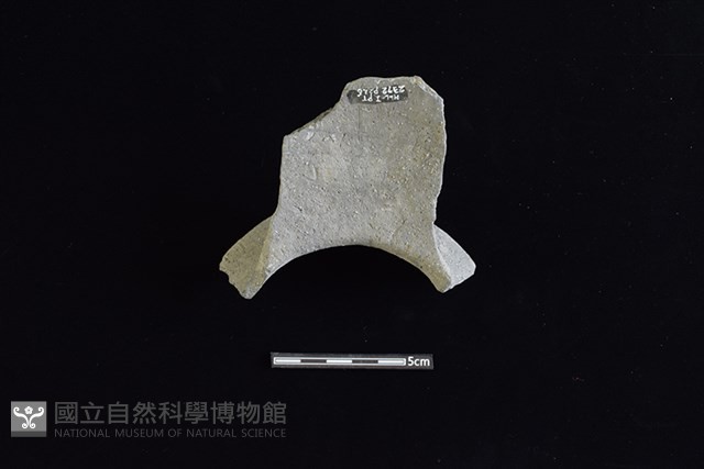 陶罐藏品圖，第2張