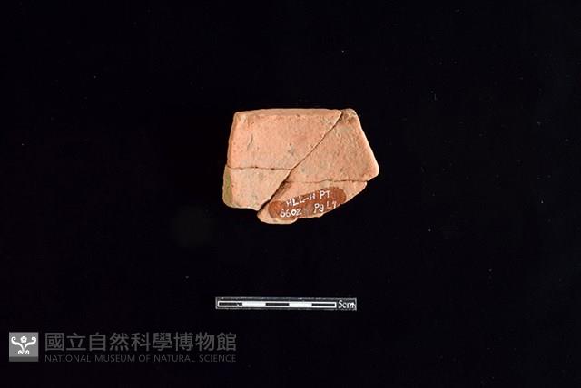 陶片藏品圖，第2張