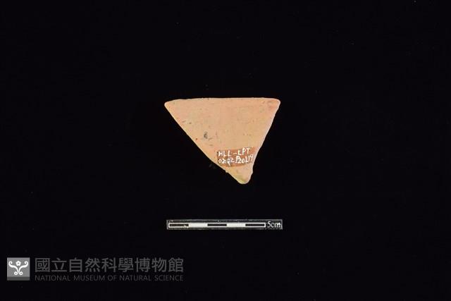 陶罐藏品圖，第2張