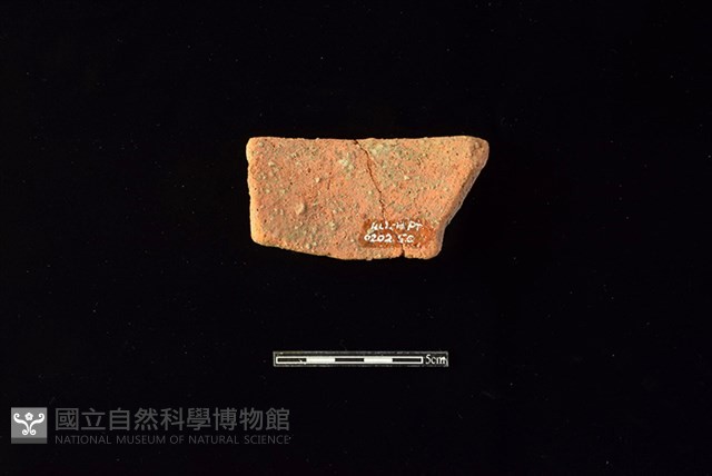 陶片藏品圖，第2張