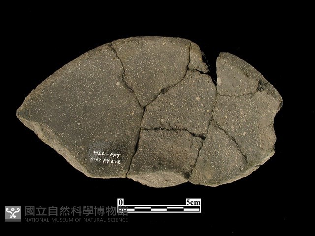 陶缽藏品圖，第2張