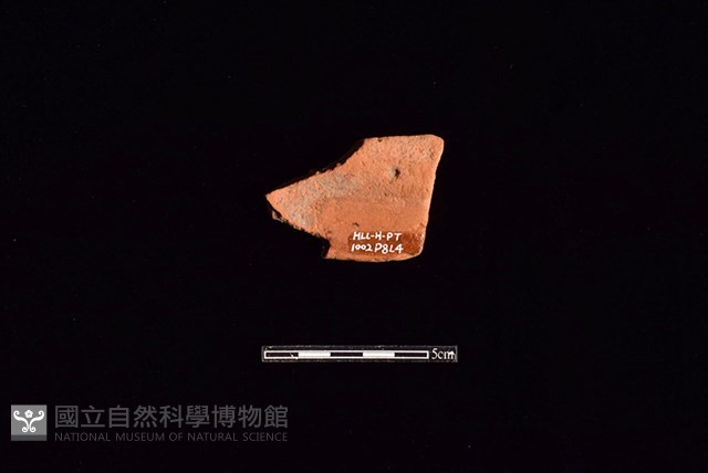 陶片藏品圖，第2張