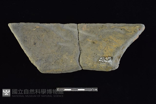 陶罐藏品圖，第2張