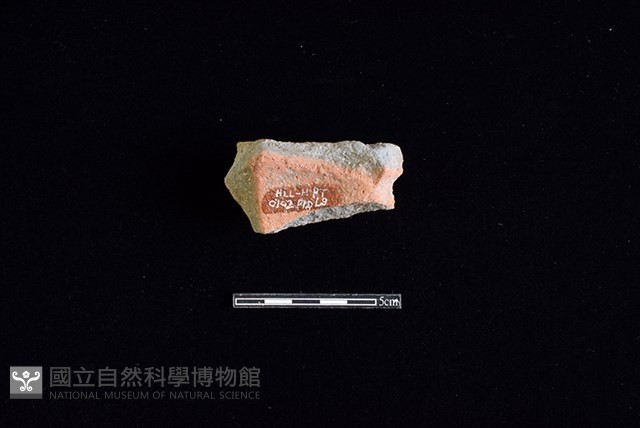 陶片藏品圖，第2張