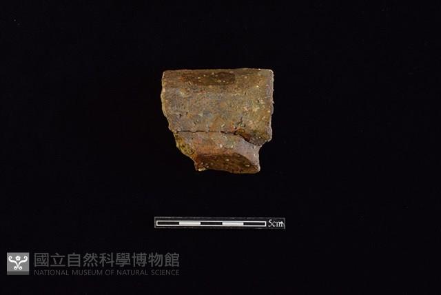 陶片藏品圖，第2張