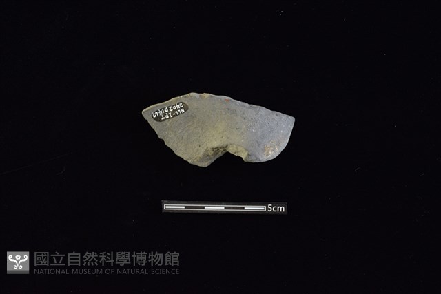 陶片藏品圖，第2張