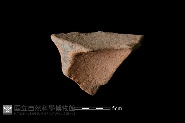 陶片藏品圖，第2張