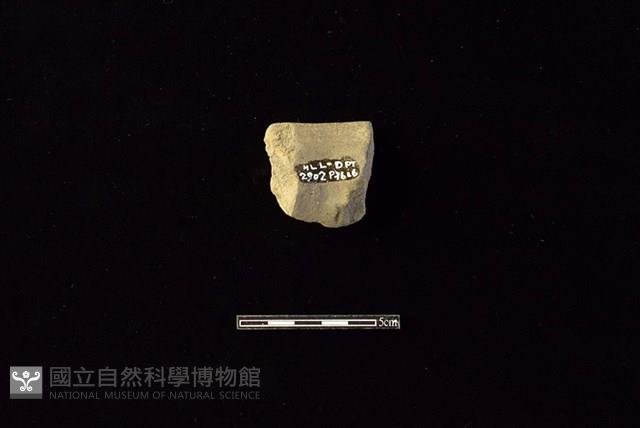 陶罐藏品圖，第2張