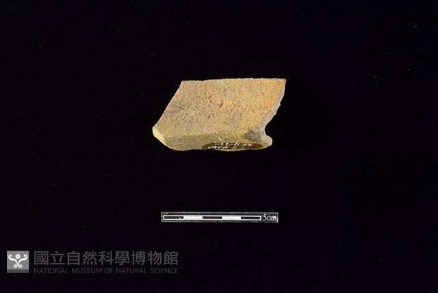 陶罐藏品圖，第2張