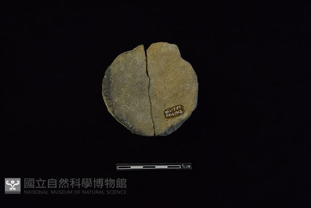 陶片藏品圖，第2張