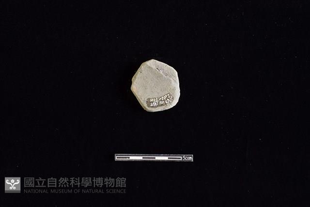 陶片藏品圖，第2張