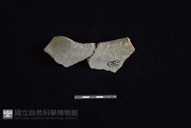 陶罐藏品圖，第2張