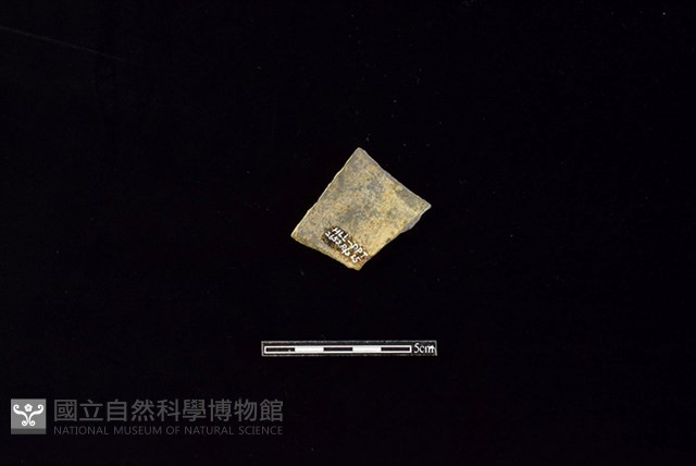 陶片藏品圖，第2張