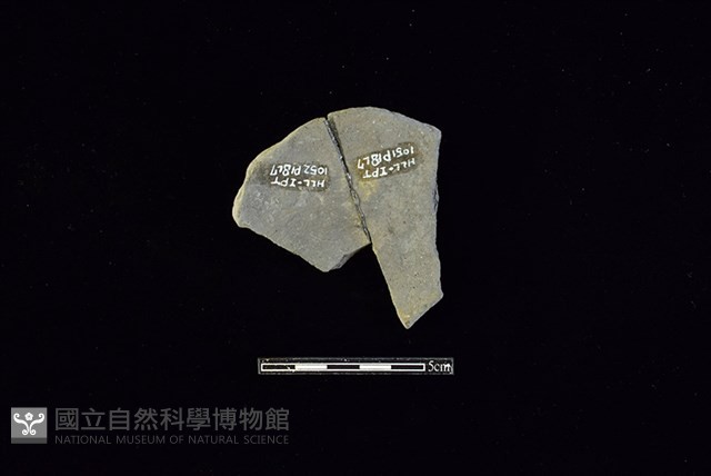 陶片藏品圖，第2張